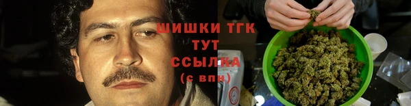 a pvp Алзамай