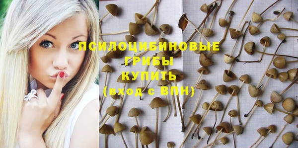 a pvp Алзамай