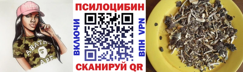Псилоцибиновые грибы Psilocybe  кракен как зайти  Белорецк 